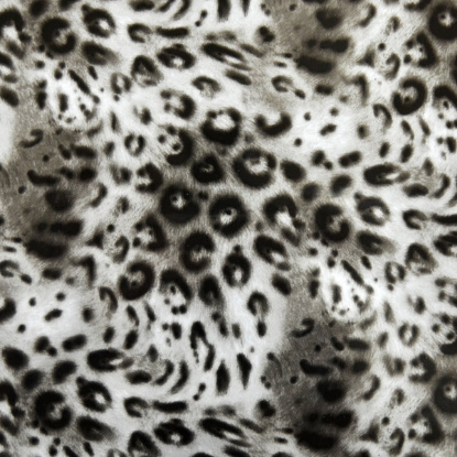 Picture of Cheetahlicious Foil
