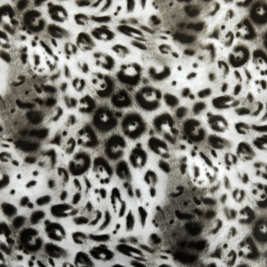 Picture of Cheetahlicious Foil